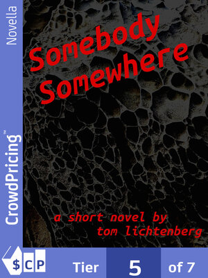 cover image of Somebody Somewhere